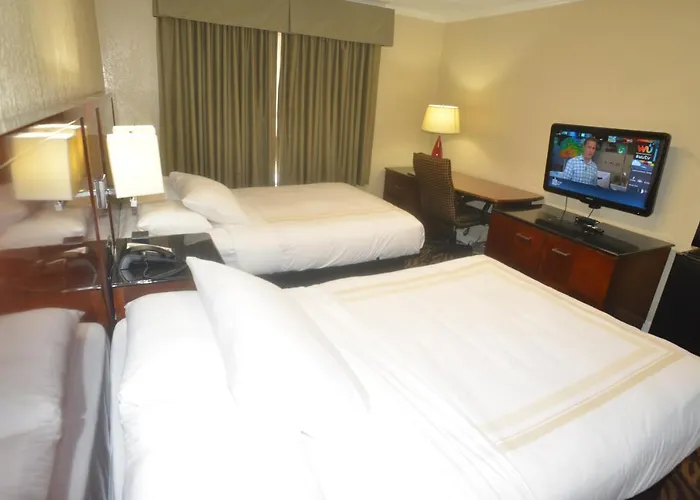 Hometown And Capsule hotel 2*